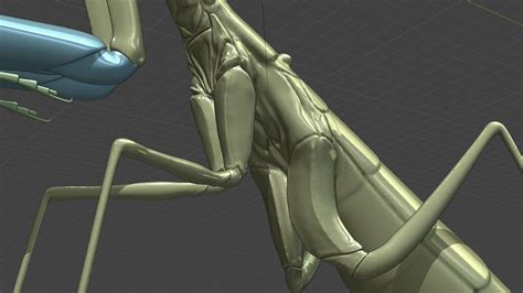 Image result for Mantisx Tutorial Blender