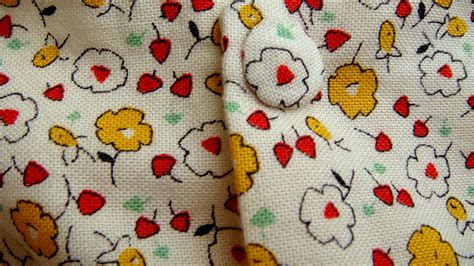 Snaps Tutorial 的图像结果