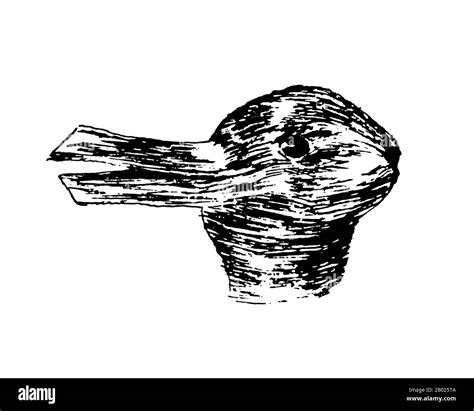 USA: Duck-Rabbit optical illusion by American psychologist Joseph ...