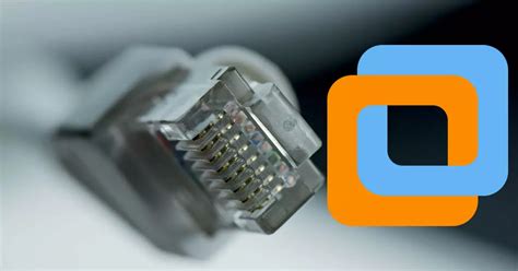 How to Setup Virtual Machine Network 的图像结果