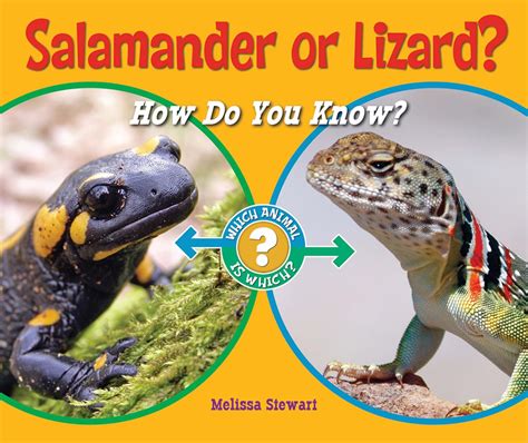 Salamander or Lizard?: How Do You Know? (Which Animal Is Which ...
