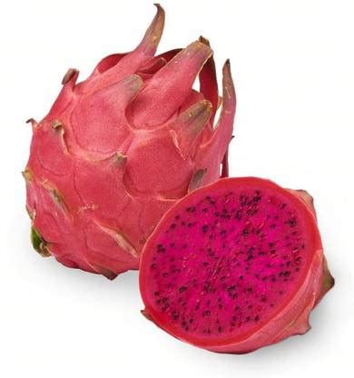 HALDER Dragon Tree Price in India - Buy HALDER Dragon Tree online at ...