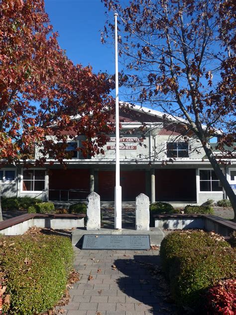 Image result for Springfield NZ