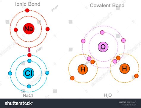 Polar Covalent Compounds Examples 的图像结果