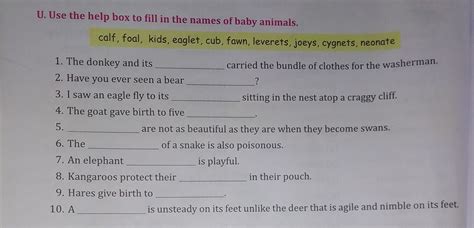 U. Use the help box to fill in the names of baby animals . 1. The ...