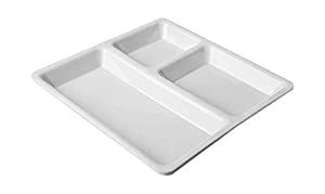 Buy Mahadev Traders Disposable Plates 10 inch 3 Compartment Plates ...