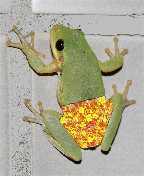 Humorous Article 的图像结果