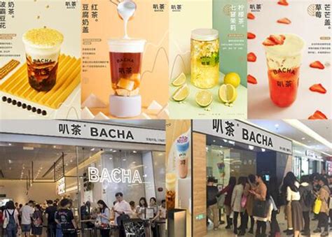 乐乐茶9月官宣上海新开3家门店，覆盖上海浦东、普陀、虹口3个区（2021年9月19日）-FoodTalks全球食品资讯