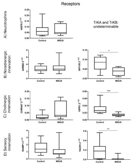 Effects of Early Life Stress on Bone Homeostasis in Mice and Humans
