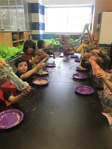 Science Camp Program 的图像结果