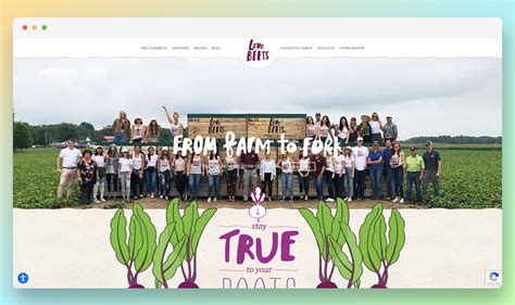 Image result for WooCommerce Store Examples