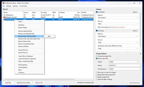 Image result for Wan Text Encoder