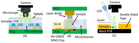 Optical Detection Techniques for Biomedical Sensing: A Review of ...