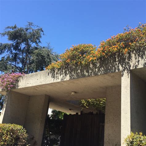 OAKLAND MUSEUM OF CALIFORNIA (2024) All You Need to Know BEFORE You Go ...