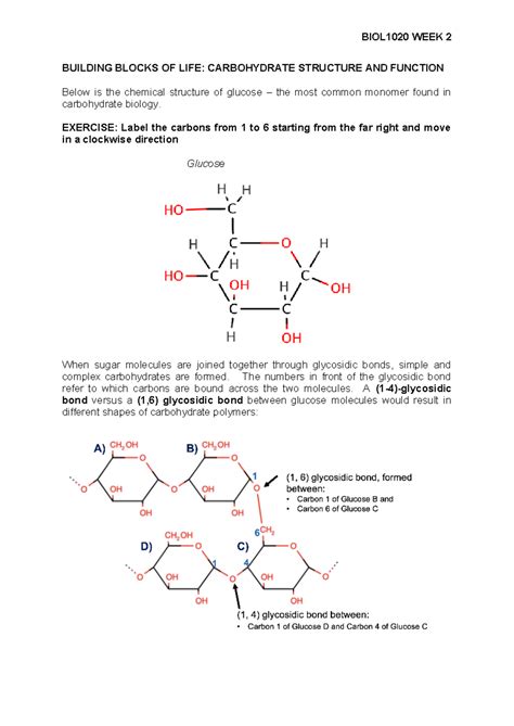BIOL1020 week 2-tutorial - BUILDING BLOCKS OF LIFE: CARBOHYDRATE ...