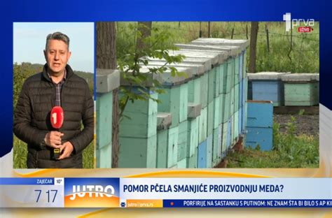 Pomor pčela smanjiće proizvodnju meda? - B92