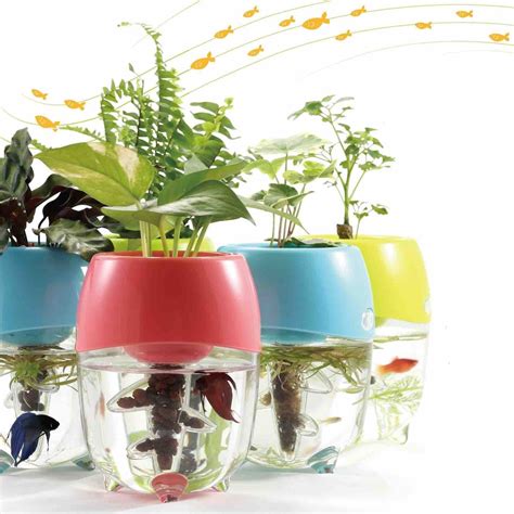 Aquaponic Fish Tank Aquarium for Betta Fish with Water Garden Planter ...