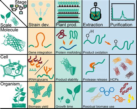 Genetic Engineering Process 的图像结果