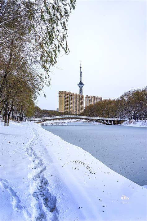 哈尔滨迎来今年入冬第一场雪(组图）|气象台|气温_凤凰资讯