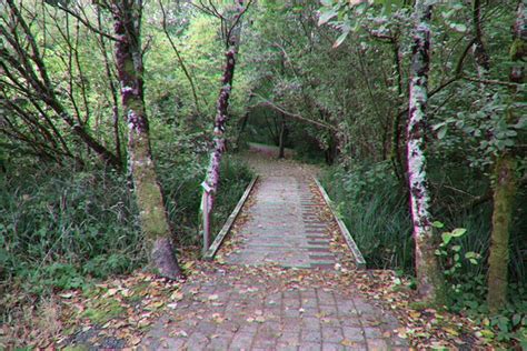 Kilchis Point Reserve (Bay City) - 2021 What to Know Before You Go ...