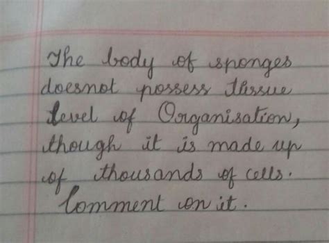 help me in answering this question - Brainly.in