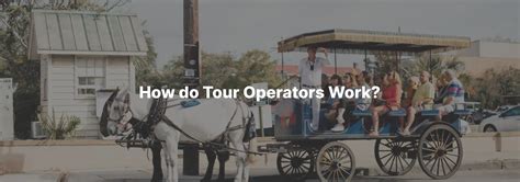 Image result for Different Tour Operators