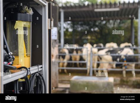 Image result for Urease Enzyme