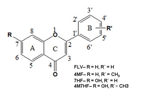 Fig. 1: Structure of Flavone (FLV), 4′–methylflavone (4MF), 7 ...