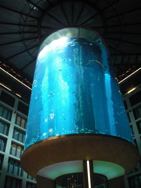 Aquarium DIY Tree Stump 的图像结果