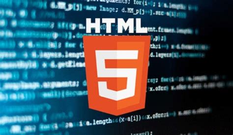 HTML中注释有几种？HTML入门指南，轻松掌握HTML基础知识-CSDN博客