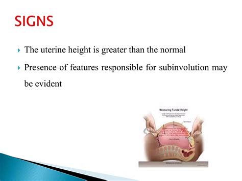 Subinvolution of the uterus | PPTX