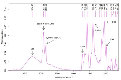 Di- and Mono-Rhamnolipids Produced by the Pseudomonas putida PP021 ...