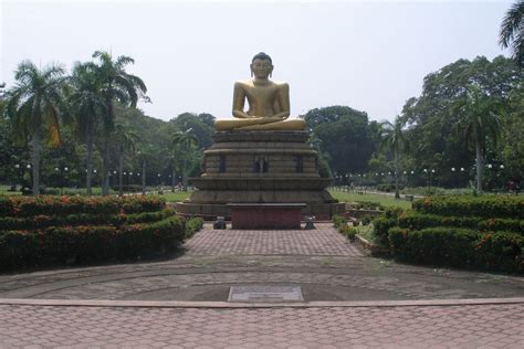 Image result for Colombo JavaScript