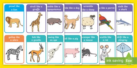 Animal Movement Cards (teacher made)