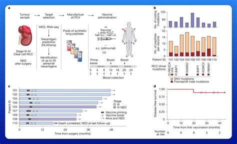 Going Founder Mode On Cancer - by Elliot Hershberg