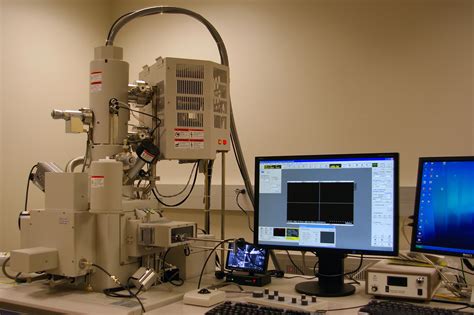 Image result for Scanning Electron Microscope Images
