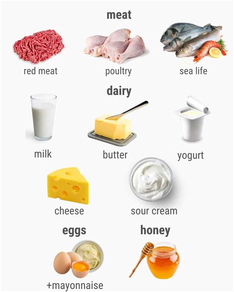 A complete guide to beginning a vegan diet: Everything you need to know