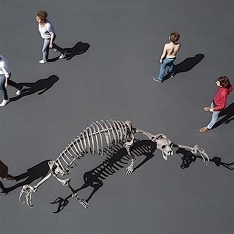 Image result for Samples OK