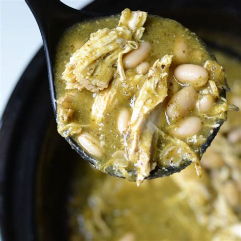 Chicken Chile Verde Stew | Good in the Simple