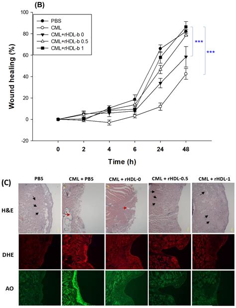 Enhanced Antioxidant and Anti-Glycation Abilities of Beeswax Alcohol in ...
