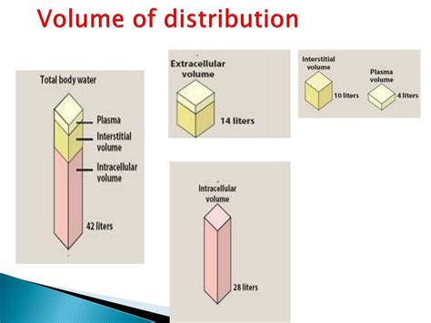 PPT - Pharmacokinetics II: Bioavailability and Distribution Overview PowerPoint Presentation ...