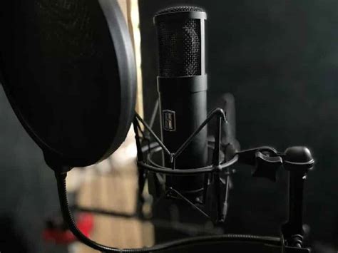 Slate Digital Microphone 的图像结果