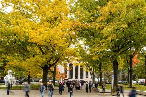 Image result for MIT Supply Chain Management Masters Program