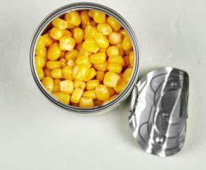 HB Frozen Foods Bangalore - Orange Juice Concentrate Manufacturer and ...