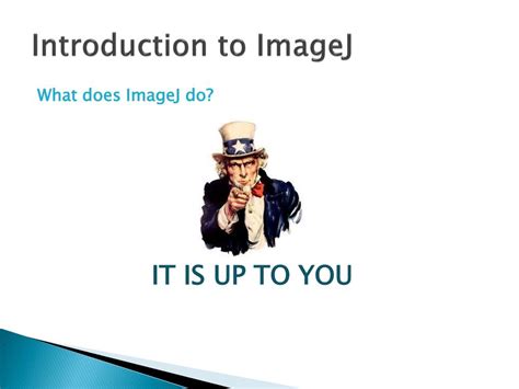 Image result for ImageJ Tutorial Length
