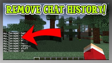 How to Turn Off Chat in Minecraft Java 的图像结果