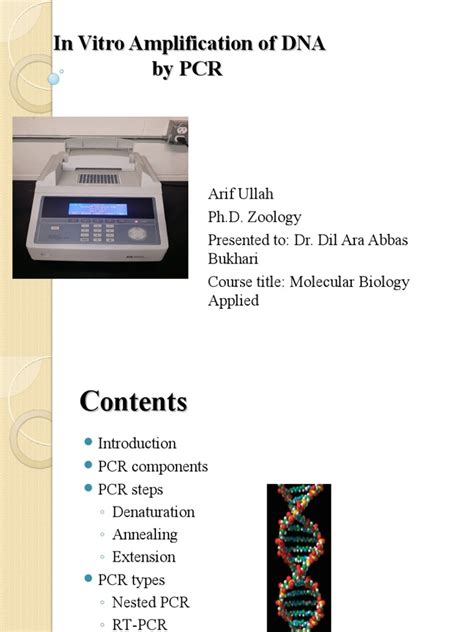 PCR Lecture 的图像结果