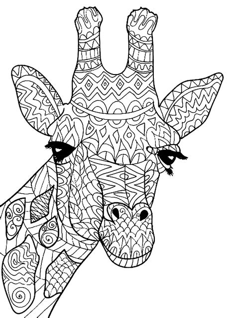 Coloring Pages Giraffes