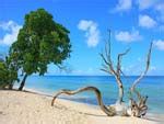 Top 10 Beaches in Barbados, Beaches in Barbados, Beach Info.