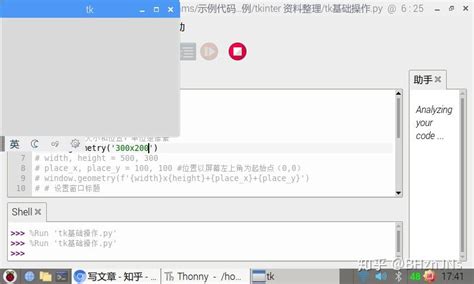 Tubinetree Tkinter Python 的图像结果